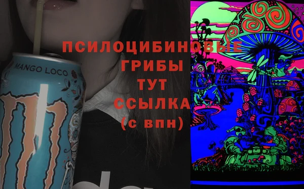 mdma Горняк