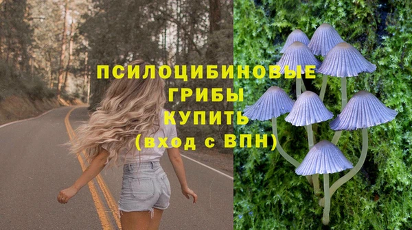 mdma Горняк