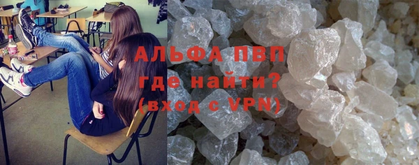 прущие крисы Вяземский
